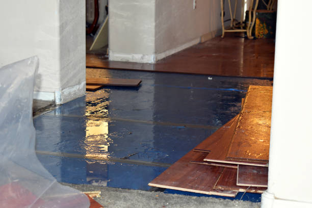 Professional Basement Flooding technician working in Conway, WA